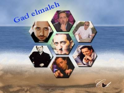 mr.gad