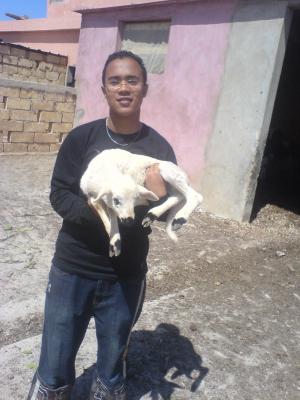 wow belle chevre
